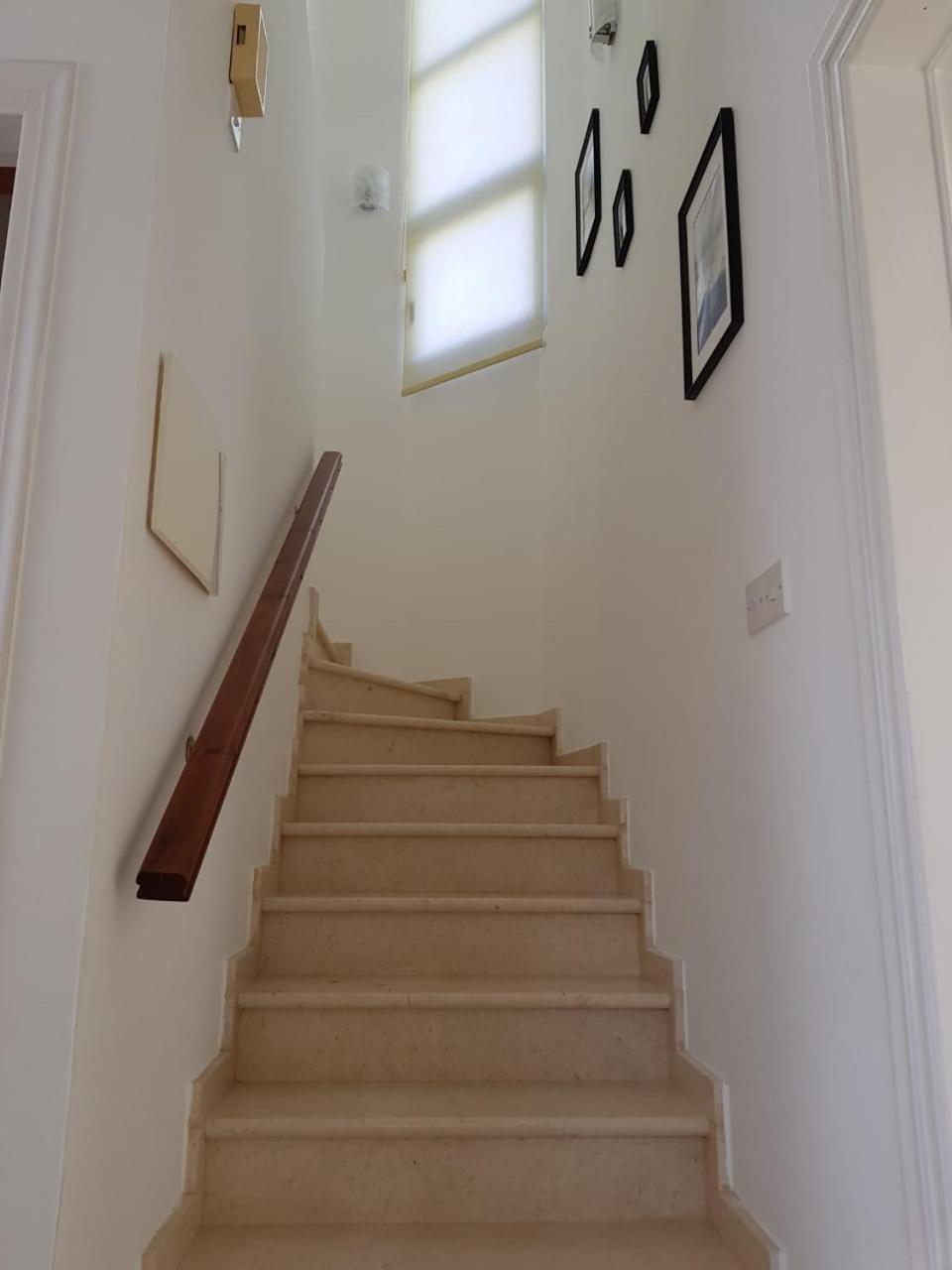 Villa Bouboulina Cyprus 圣纳帕 外观 照片