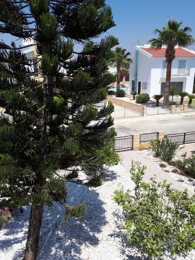 Villa Bouboulina Cyprus 圣纳帕 外观 照片