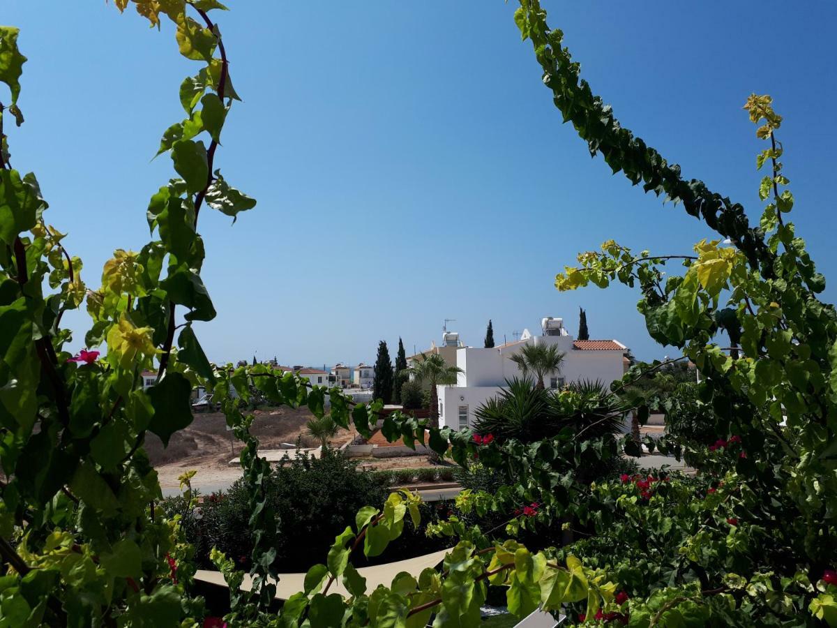 Villa Bouboulina Cyprus 圣纳帕 外观 照片
